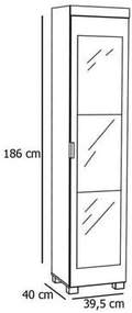 SAPATEIRA JUNE C/ESPELHO - MIRARACK - 39,5m - 2.5/RN/LD 2.7/PR 2