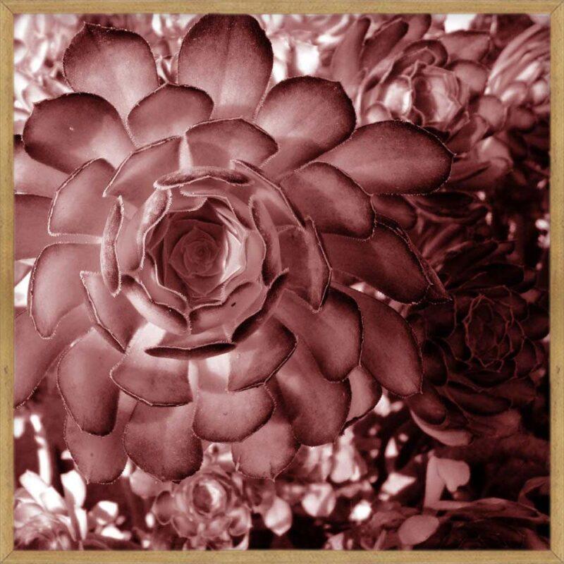Quadro Florais C/ Vidro - 63x63xcm - Top Art - 2.4 - SR