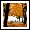 Quadro Paisagens C/ Vidro – 73x73xcm – Top Art – 3.1 – SR 1