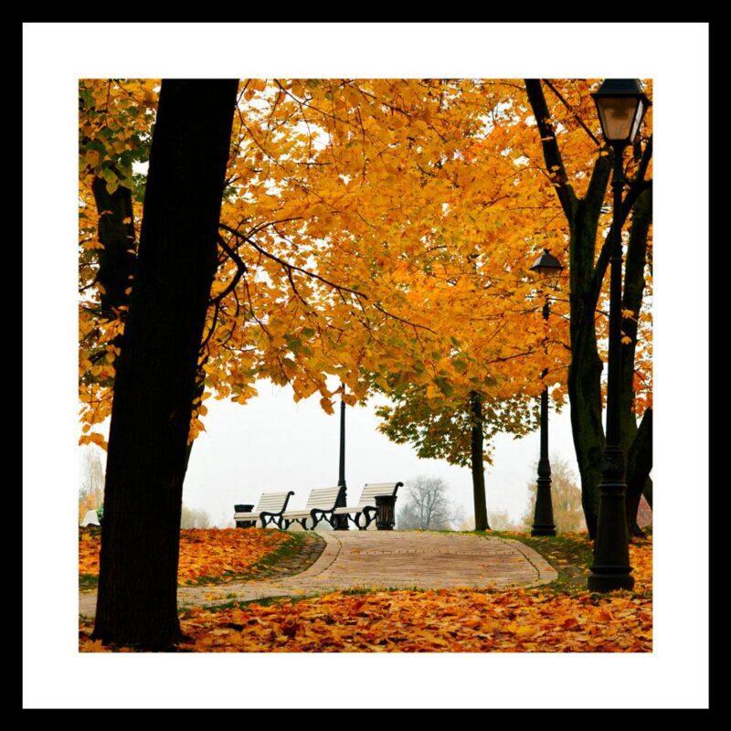 Quadro Paisagens C/ Vidro – 73x73xcm – Top Art – 3.1 – SR