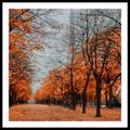 Quadro Paisagens C/ Vidro – 73x73xcm – Top Art – 3.1 – SR 2
