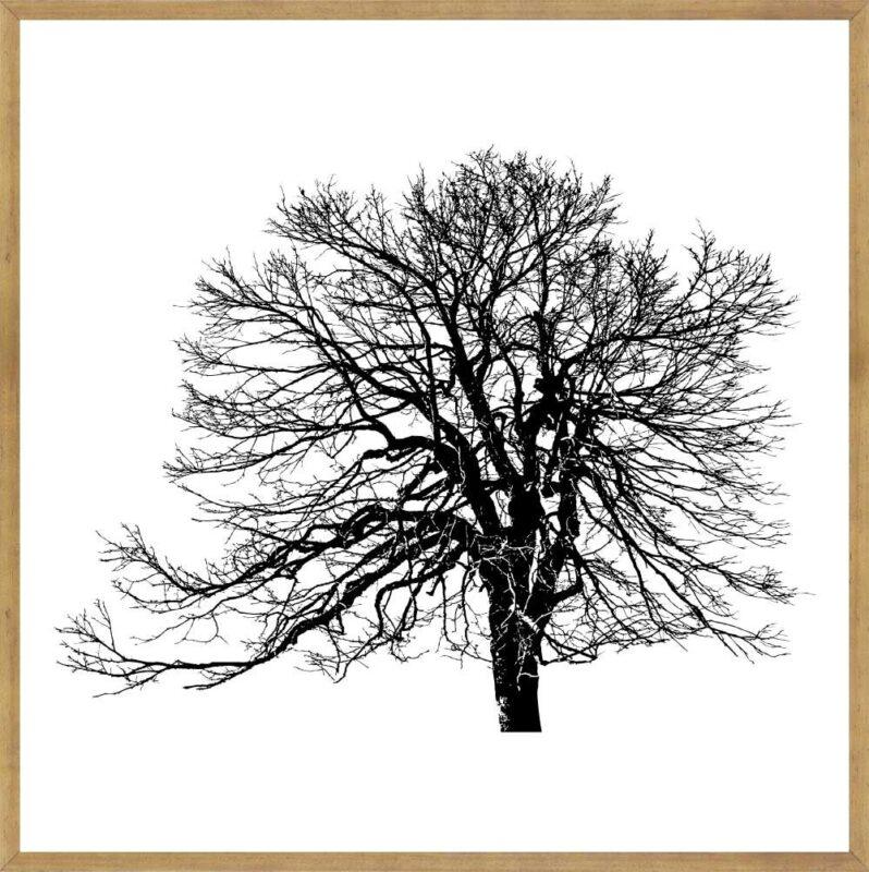Quadro Paisagens C/ Vidro 63x63cm - Top Art - 2.4 - SR